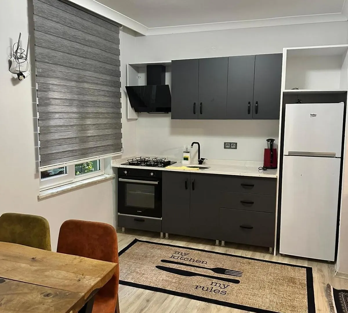 Apartments In The City Center Square Trabzon Türkei